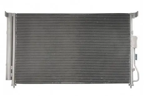 Конденсатор кондиціонера (з осушувачем) KIA CARNIVAL III 2.7 06.06-06.15 Thermotec KTT110108