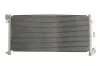 Конденсатор кондиціонера IVECO DAILY III 2.3D/2.8D 05.99-07.07 Thermotec (KTT110389) зображення 1