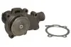 Водяна помпа Thermotec (WPCA109) изображение 1