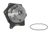 Насос охолоджуючої рідини (із шківом) CASE IH 120 2WD, 130 2WD, 140 2WD, 155 2WD, 155 4WD, 175 2WD, 175 4WD, 190 2WD, 190 4WD FORD TM 120, TM 130, TM 140 NEW HOLLAND TM 120, TM 130, TM 140 Thermotec (WPCA170) зображення 2