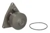 Водяна помпа Thermotec (WPCM130) изображение 2