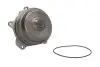Водяна помпа Thermotec (WPDF121) зображення 2