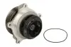 Водяна помпа Thermotec (WPDF124) зображення 2