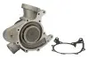 Насос охолоджуючої рідини DEUTZ, FENDT 922 VARIO, 924 VARIO, 927 VARIO, 933 VARIO, 936 VARIO DEUTZ FAHR 5665 HTS COM 3, 5690, 5690 H COM 3, 5690 HTS, 5690 HTS COM 2, 5690 HTS COM 3 Thermotec (WPDZ110) зображення 1