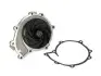 Водяна помпа Thermotec (WPMN126) зображення 1