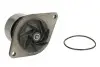 Насос охлаждающей жидкости (из шкивом) CASE IH 100, 110, 115, 120, 125, 130, 140, 130 CVX, 145, 145 CVX, 155, 160, 160 CVX, 165, 165 CVX, 170, 170 CVX, 180, 180 CVX, 185, 185 CVX, 195, 195 CVX, 200 Thermotec (WPNH001) изображение 1