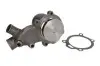 Насос охолоджуючої рідини PERKINS 1004.4 1004.4T 1104C-44 1104C-44T A4.236 AT4.236, URSUS 3514, 3822, 3824, 4512, 4514, 5322, 5324, 360 3P AHLMANN AL7, AL7C, AL7D, AL7G, AL8, AL8C, AL8CS Thermotec (WPPK123) зображення 1