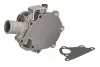 Насос охлаждающей жидкости PERKINS 103.15, BENFRA 9.01B CASE IH 15, 16 CATERPILLAR 225D, 304.5E2 XTC, 902, 902 C, 902 C2 GEHL 145, 165, 245 JCB 801, 8015, 8016, 8017, 8018, 8025 ZTS, 8030 ZTS Thermotec (WPPK127) изображение 2