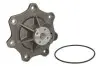 Насос охолоджуючої рідини IHC DT466 DT530 Thermotec (WPPK128) зображення 2