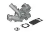 Насос охолоджуючої рідини YANMAR 3TNE82 4TNE92 Thermotec (WPYA003) зображення 2