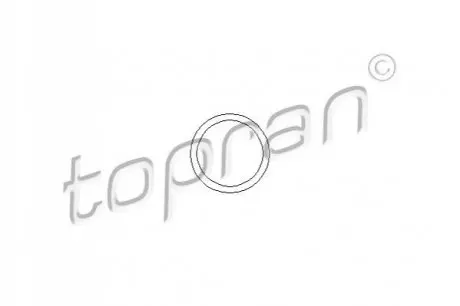 Фото Прокладка термостата TOPRAN / HANS PRIES (104505) изображение 1