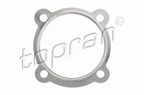 Прокладка глушника Audi A3/Skoda Octavia 1.8T 96-10 TOPRAN / HANS PRIES 108182 Купити в Україні