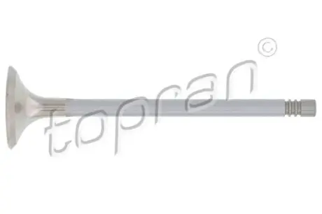 Клапан (випуск) Audi A4/A6/VW Golf V/VII 1.8TSI-4.2FSI 02- (OE VAG) TOPRAN / HANS PRIES 110202