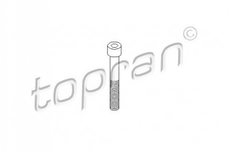 Болт, корпус скобы тормоза TOPRAN / HANS PRIES 110707