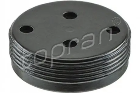 Пробка охолоджувальної рідини TOPRAN / HANS PRIES 110878 Купити в Україні