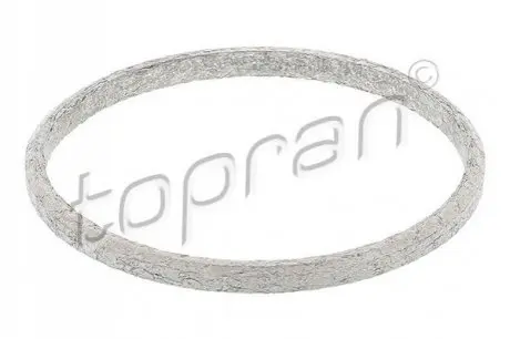 Прокладка клапану повернення ОГOWEJ TOPRAN / HANS PRIES 117909 Купити в Україні