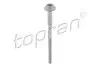 Болт форсунки (M6, длина 112мм) SEAT IBIZA IV, IBIZA IV SC, IBIZA IV ST SKODA FABIA II, ROOMSTER, ROOMSTER PRAKTIK VW POLO V 1.2D 10.09-05.15 TOPRAN / HANS PRIES (120668) изображение 1