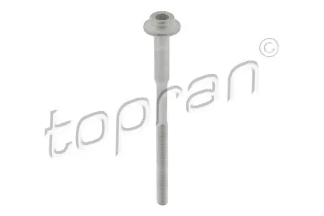 Болт форсунки (M6, длина 112мм) SEAT IBIZA IV, IBIZA IV SC, IBIZA IV ST SKODA FABIA II, ROOMSTER, ROOMSTER PRAKTIK VW POLO V 1.2D 10.09-05.15 TOPRAN / HANS PRIES 120668