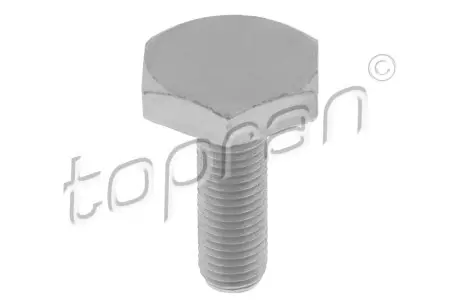 Болт шестерні розподільного вала AUDI A1, A3 SEAT ALHAMBRA, ALTEA, ALTEA XL, CORDOBA, IBIZA III, IBIZA IV, IBIZA IV SC, IBIZA IV ST, LEON, TOLEDO III, TOLEDO IV 1.2-1.6LPG 02.03-07.18 TOPRAN / HANS PRIES 120989