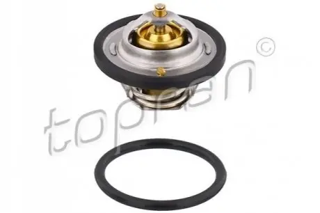 Термостат системи охолодження (92°C) CHEVROLET LACETTI CHRYSLER 300C, 300M DAEWOO LANOS LADA NIVA OPEL ASCONA B, ASCONA C, ASTRA F, ASTRA F CLASSIC, ASTRA G, COMBO, COMBO TOUR 1.0-3.5 08.73 TOPRAN / HANS PRIES 202317 Купити в Україні