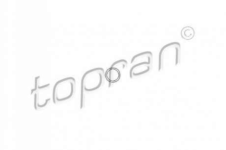 Прокладка, болт крышка головки цилиндра TOPRAN / HANS PRIES 206 528