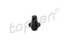 Болт зливу оливи Ford Transit 2.0/2.4/2.2 00- (M14x1.5) 301  761