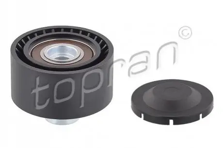 Ролик генератора Citroen Berlingo 1.6HDI 96- (паразитний) (60x30x10) TOPRAN / HANS PRIES 302419 Купити в Україні