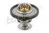 Термостат системи охолодження (92°C) FORD B-MAX, C-MAX II, ECOSPORT, FIESTA VI, FIESTA VII, FOCUS I, FOCUS III, GRAND C-MAX, MONDEO V, TOURNEO CONNECT V408 NADWOZIE WIELKO 1.0-2.3 11.95 TOPRAN / HANS PRIES (305170) зображення 1