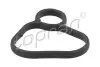 Прокладка корпуса масляного фільтра 628119