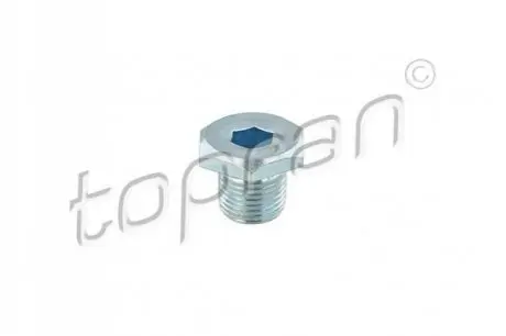 Болт зливу оливи + шайба Citroen Berlingo/Jumper/Jumpy/Peugeot Boxer/Expert/Partner 96- (M14x1.25) TOPRAN / HANS PRIES 720302