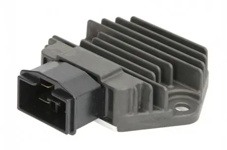 Регулятор напряжения TOURMAX RGU118