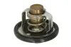 Термостат SUZUKI GSX, GSX-R, SV, TL 600-1300 1997-2007 TOURMAX (TMT301) зображення 2
