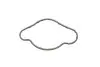 Фото Ущільнення масляного насосу AVENSIS, COROLLA, COROLLA VERSO, RAV 4 II 2.0D 05.01-11.08 TOYOTA (1519327010) зображення 1