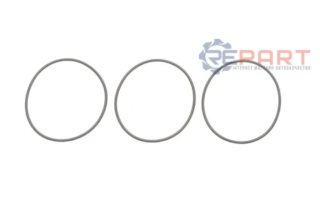 Набір прокладок вакуумного насоса AVENSIS, AVENSIS VERSO, COROLLA, COROLLA VERSO, PREVIA II, RAV 4 II 2.0D 10.99-03.09 TOYOTA 2934248010