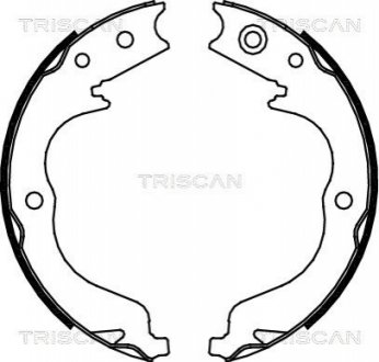 Комплект тормозных колодок, Стояночный тормоз TRISCAN 810010029 (фото 1)