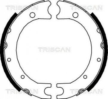 Комплект гальмівних колодок, Стоянкове гальмо TRISCAN 810013036 (фото 1)