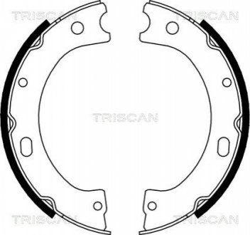 Комплект тормозных колодок, Стояночный тормоз TRISCAN 810014011 (фото 1)