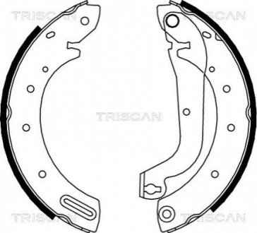 Колодки гальмівні задні барабанні TRISCAN 810014596 (фото 1)
