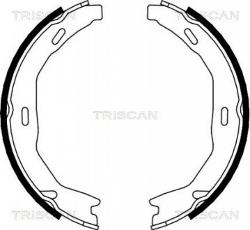 Комплект гальмівних колодок, Стоянкове гальмо TRISCAN 810023029