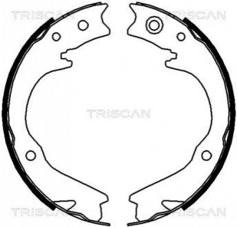 Комплект тормозных колодок, Стояночный тормоз TRISCAN 810068003 (фото 1)