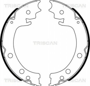 Комплект тормозных колодок, Стояночный тормоз TRISCAN 810069006 (фото 1)