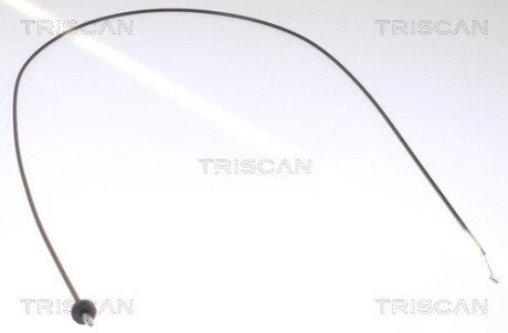 Капот TRISCAN 8140 23602