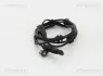 Фото Датчик ABS (задній) Citroen C6/Peugeot 407 04-10 TRISCAN (8180 28238) зображення 2
