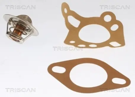 Термостат TRISCAN 862011088 Купити в Україні