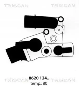 Термостат TRISCAN 862012480 Купити в Україні