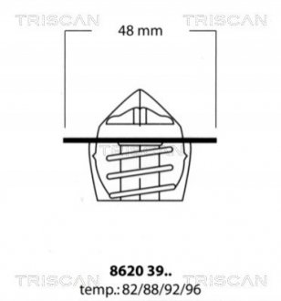 Термостат TRISCAN 8620 3982