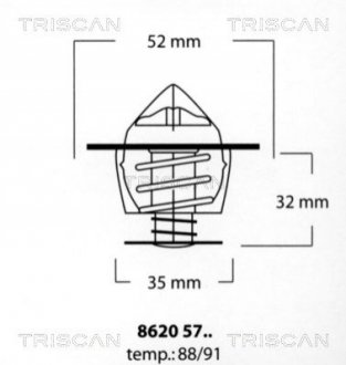 Термостат TRISCAN 8620 5791