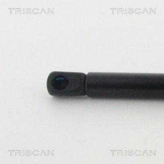 Автозапчасть TRISCAN 8710 11133