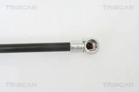 Амортизатор багажника TRISCAN 8710 24227 Купить в Украине