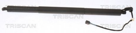 Автозапчасть TRISCAN 8710 29306 (фото 1)